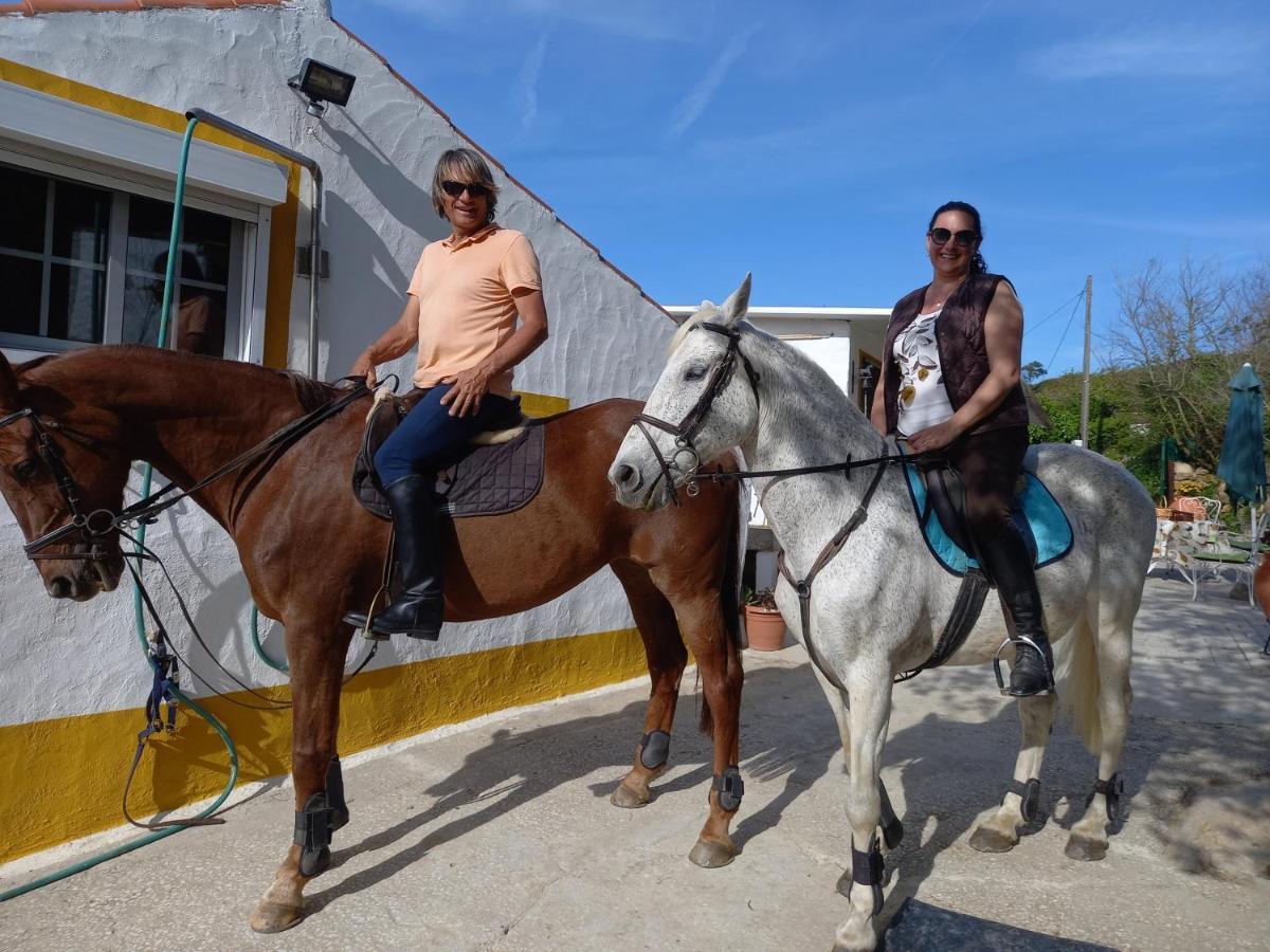 Casinha De Campo- Quintinha Dos Cavalos- アルダ・ドス・ヴィーニョス エクステリア 写真