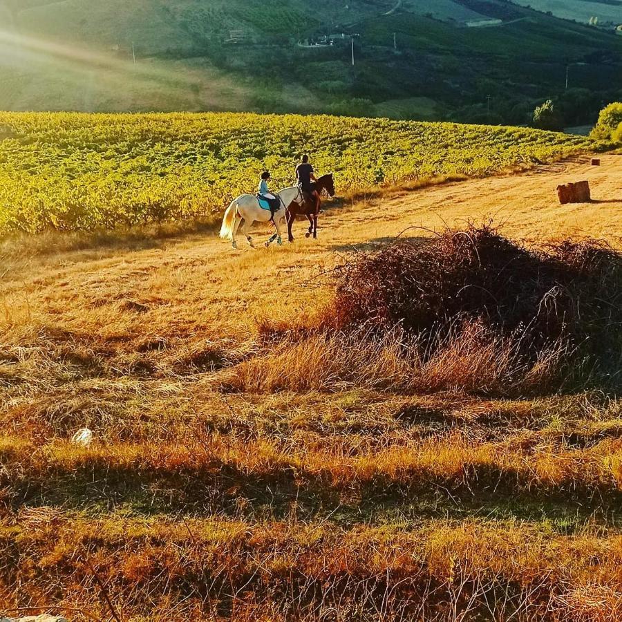 Casinha De Campo- Quintinha Dos Cavalos- アルダ・ドス・ヴィーニョス エクステリア 写真